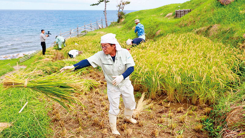 日本米漲2倍、瑞士願付39％關稅啟示，台灣為何必須守住糧食自主